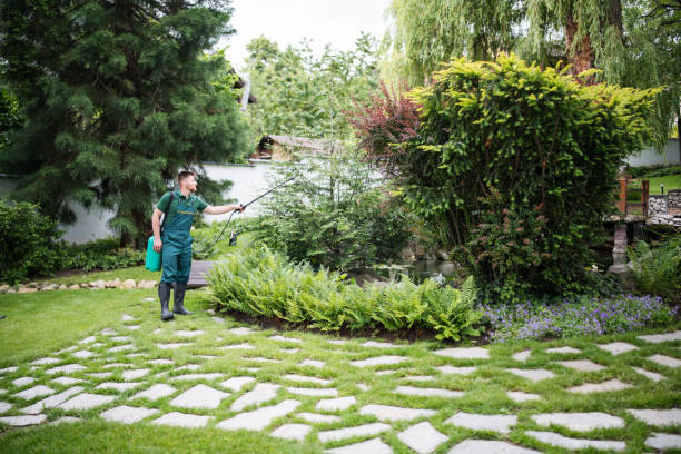 Best Affordable Pest Control Services  in Monroeville, AL