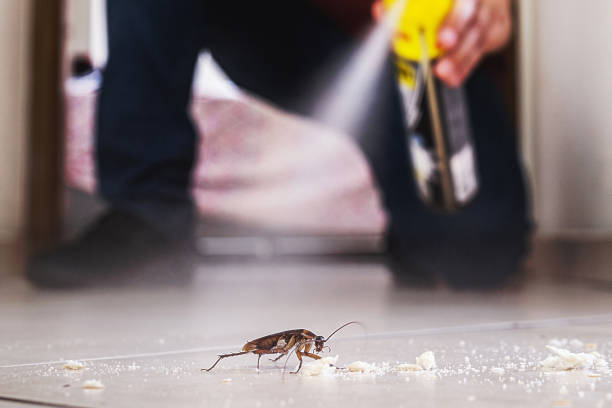 Best Pest Control for Homes  in Monroeville, AL