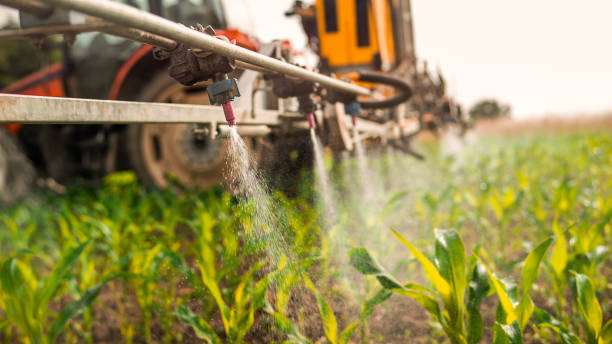 Best Mosquito Control Services  in Monroeville, AL